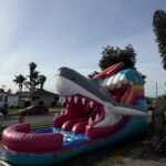 pink shark 15ft Dual lane Sufer Attack